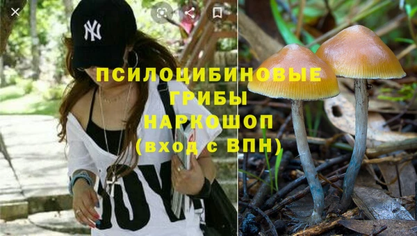 кокаин Богородицк