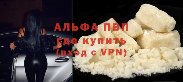 винт Богданович