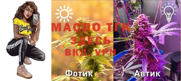 винт Богданович