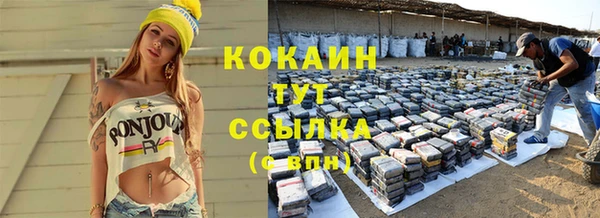 винт Богданович