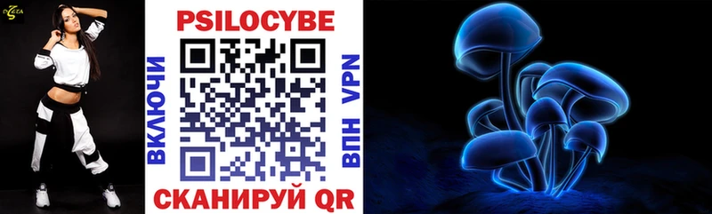 сколько стоит  Иркутск  Галлюциногенные грибы Cubensis 